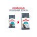 ROYAL CANIN Cat Form Urinary Care 4 kg - Buy Online on GoSupps.com