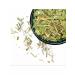 GrowUp Lemongrass dried grass 1-2 cm herbal tea - 100 g