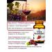 Energy Bio Systems Trans resveratrol 150 mg 60 capsules - Buy Online on GoSupps.com
