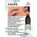 DRAIFF Crystal Taupe eyebrow pigment - Buy Online on GoSupps.com