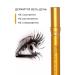 Lebelage Waterproof mascara with curling effect - Buy Online on GoSupps.com