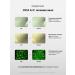 Dermafirm Point cream for acne with a centella of Asian - Buy Online on GoSupps.com