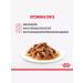 ROYAL CANIN Wet food indodor sterilizes in sauce 85 g 28 pcs - Buy Online on GoSupps.com