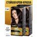 BelitaM Persistent Hair Happiness hair cream tone 4.1