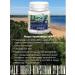 Extract-VIS Blueberries Forte extract 0.4g No. 30 - Buy Online on GoSupps.com