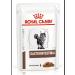 ROYAL CANIN GastroinTestinal feed Wet (spider) for cats 28*85 gr - Buy Online on GoSupps.com