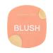 VIVIENNE SABO Face blush dry matte macaron tone 01 peach - Buy Online on GoSupps.com