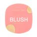 VIVIENNE SABO Face blush dry matte Macaron T 02 Cold pink - Buy Online on GoSupps.com