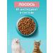 PURINA ONE Cat for cats dry 1.5 kg for sterilized with salmon - Buy Online on GoSupps.com
