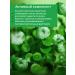 FAYANKOU Herbal for the face moisturizing from acne and acne - Buy Online on GoSupps.com