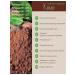 Cocoa powder FoodFest 100g*6pcs - Buy Online on GoSupps.com