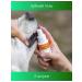 Dude Dental gel for cats and dogs enzymes and propolis 2 pcs - Buy Online on GoSupps.com
