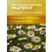 Mandragora Magic Beauty Chamomile hydrolyte tonic for all skin skin types - Buy Online on GoSupps.com