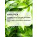 MISSHA Facial mask fabric soothing with green tea 4x19g - Buy Online on GoSupps.com