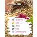 HotHouseholdGoods Amaranth seeds of the highest grade without gluten - 2 kg - Buy Online on GoSupps.com