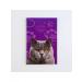 In Mother's Hands International veterinary passport for cats 2 pcs - Buy Online on GoSupps.com