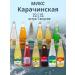 Karachinsky Source Karachinskaya mix 11 tastes 12 pcs 0.5 l glass