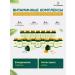 Dr Neumann Testosterone booster for Alphaman men - Buy Online on GoSupps.com