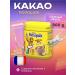 Nesquik Cocoa-drink NSQUIK 500 g France