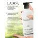LADOR Shampoo and hair conditioner moisturizing set - Buy Online on GoSupps.com