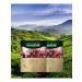 Greenfield Black tea Spring Melody in bags 2 packs 200pcs
