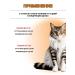 Apicenna Stop cystitis bio for cats - Buy Online on GoSupps.com