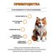 Apicenna Stop cystitis bio for cats 2 packages of 30 ml - Buy Online on GoSupps.com