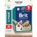 Brit Wet feed Premium for dogs duck in sauce 85 g 5 pcs