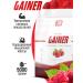 2SN Gainer for gaining mass sports raspberries 5 kg