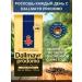 dallmayr Coffee in the grains of Dalmar Produmo 100% Arabica 500g - Buy Online on GoSupps.com