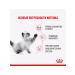 ROYAL CANIN Feed for kittens wet for sterilized sauce 85 g 28 pcs - Buy Online on GoSupps.com