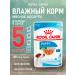 ROYAL CANIN Wet feed mini puppy for small puppies sauce 85 g 5 pcs