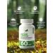 NaturalSupp Magnesium L-Treonate Dad for the nervous system 60 capsules - Buy Online on GoSupps.com