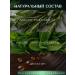 DiElle Beauty Restoring hair growth mask - Buy Online on GoSupps.com