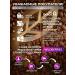 GraceBioQ Caffeine tablets 150 mg - Buy Online on GoSupps.com