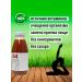 Tikhvin district Detox juice without sugar No. 04 proper nutrition 9 pcs 0.3 liters - Buy Online on GoSupps.com
