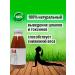Tikhvin district Detox juice without sugar No. 04 proper nutrition 9 pcs 0.3 liters - Buy Online on GoSupps.com