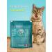 PURINA ONE Feed for cats 0.75 kg for digestion with turkey - Buy Online on GoSupps.com