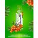 Golden Mix Gift tea in sea buckthorn "Immunity" 21pcs - Buy Online on GoSupps.com