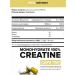 Creatines Creatine monohydrate in capsules 240 pcs - Buy Online on GoSupps.com