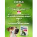 Biocorrector Prebiot for dogs 3pcs set - Buy Online on GoSupps.com