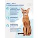 Jarvi elaman Dry food Holistic for sterilized cats veal 800g - Buy Online on GoSupps.com