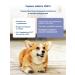 Jarvi elaman Dry food holistic for dogs of medium and large breeds 800 g - Buy Online on GoSupps.com
