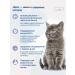 Jarvi elaman Dry food for kittens turkey 3 kg - Buy Online on GoSupps.com