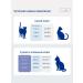 Jarvi elaman Dry food for sterilized cats turkey 800 g - Buy Online on GoSupps.com