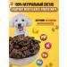 Delicious treats for the cutie Tailure of the spleen of beef for dogs 500 - Buy Online on GoSupps.com