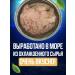 Borealis Natural cod liver from chilled raw materials - Buy Online on GoSupps.com