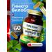 ShiffaHome Ginkgo bilobe capsule for memory and brain function