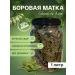 Apiary of the peasant farm Serikov PP Borow uterus grass 1l (tea for women)