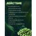 Sage Chlorella in tablets 310 pcs. Phytochis - Buy Online on GoSupps.com